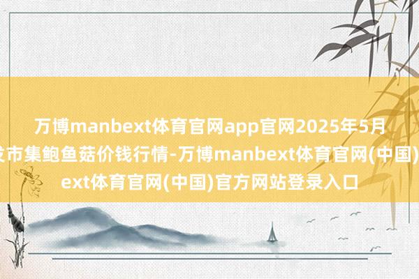 万博manbext体育官网app官网2025年5月27日天下主要批发市集鲍鱼菇价钱行情-万博manbext体育官网(中国)官方网站登录入口