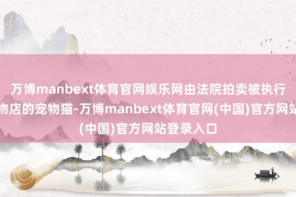 万博manbext体育官网娱乐网由法院拍卖被执行东谈主宠物店的宠物猫-万博manbext体育官网(中国)官方网站登录入口